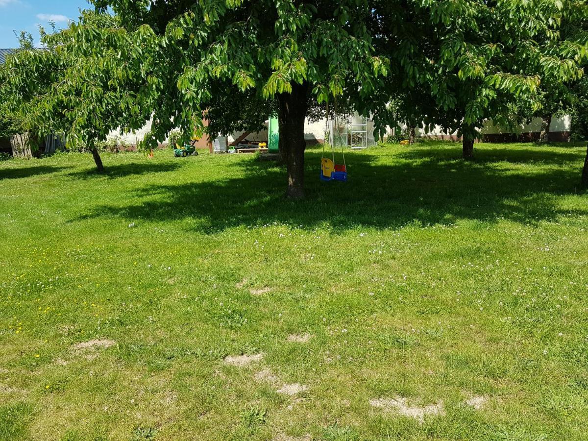 Ferienwohnung/monteurwohnung Im Schoenen Odenwald Appartement Mörlenbach