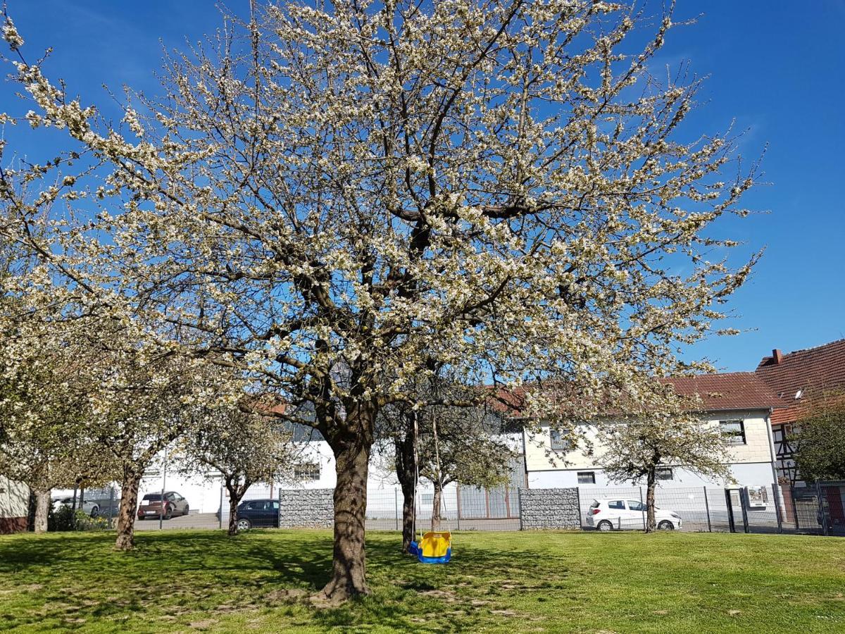 Ferienwohnung/monteurwohnung Im Schoenen Odenwald *